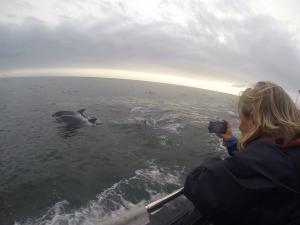 vlcsnap-2017-11-13-19h06m14s978
